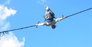 Elástico en los árboles 